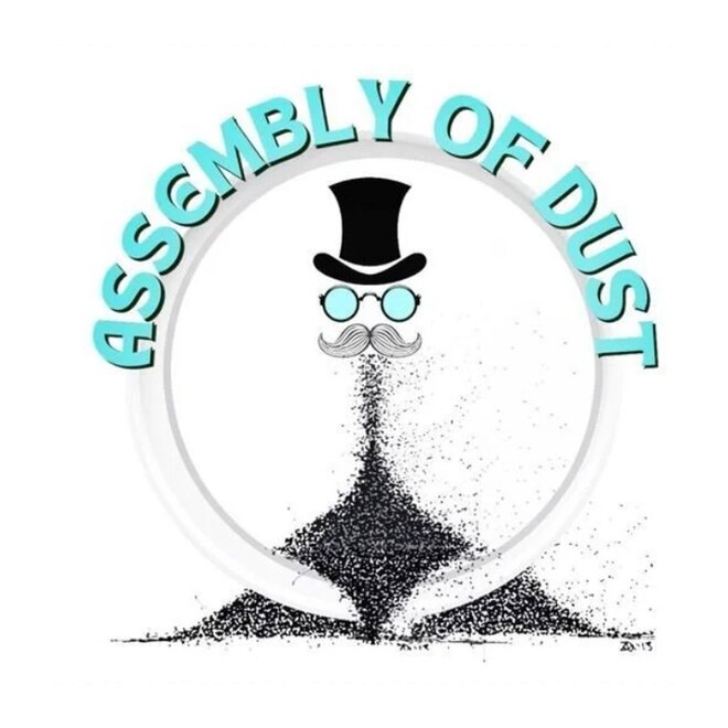 Assembly of Dust
